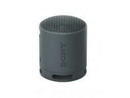 Портативная колонка Sony SRS-XB100/BCE