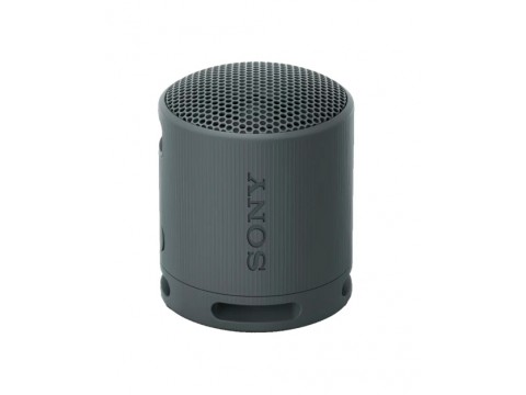 Портативная колонка Sony SRS-XB100/BCE