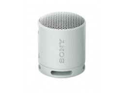 Портативная колонка Sony SRS-XB100/HCE