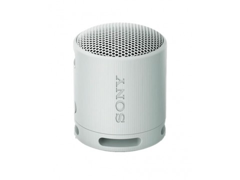 Портативная колонка Sony SRS-XB100/HCE
