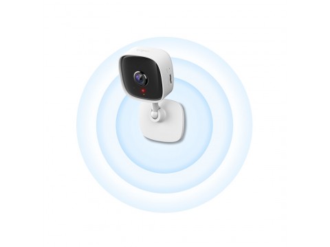 IP-камера TP-Link Tapo C100