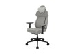 Игровое компьютерное кресло ThunderX3 CORE Smart-Loft Light Grey