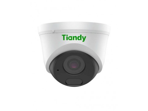 Tiandy 2Мп уличная турельная IP-камера 2,8мм, 512Гб слот SD
