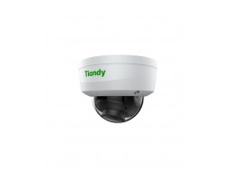 Tiandy 2Мп уличная купольная IP-камера 2,8мм 512Гб слот SD, audio I/O 1/1, alarm I/O 1/1