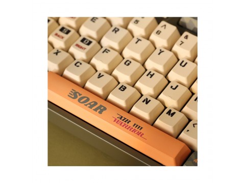 Клавиатура Varmilo Warrior-Soar VEM108 EC V2 Sakura Switch