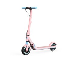 Электросамокат Ninebot eKickScooter Zing E8 pink
