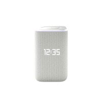 Умная колонка Яндекс Станция 3 с Zigbee Серый