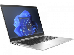 Ноутбук HP ProBook 450 G10 UMA i7-1355U,15.6 HD SVA 250,8G D4,512G PCIe,W11p6,1yw,WFOVCam,Wi-Fi6E+BT5.3,Pike Silv