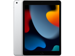 10.2-inch iPad Wi-Fi + Cellular 256GB - Silver, Model A2604