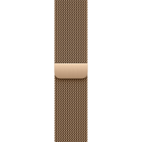 40mm Gold Milanese Loop