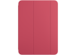Smart Folio for iPad (A16) - Watermelon