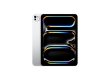 11-inch iPad Pro M5 Wi-Fi + Cellular 256GB with standard glass - Silver, Model A3358
