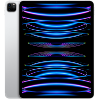 12.9-inch iPad Pro Wi‑Fi + Cellular 512GB - Silver, Model A2437