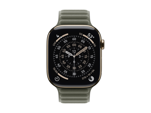 46mm Sage Gray Magnetic Link - S/M