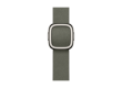 42mm Sage Gray Modern Buckle - Medium