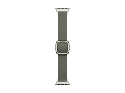 42mm Sage Gray Modern Buckle - Medium