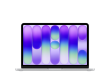 13-inch MacBook Neo: Apple A18 Pro chip with 6-core CPU and 5-core GPU, 8GB, 256GB SSD - Silver,Model A3404