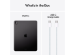 13-inch iPad Pro WiFi 1TB with Standard glass - Space Black,Model A2925