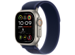 49mm Blue Trail Loop - M/L - Natural Titanium Finish