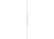 EarPods (USB-C),Model A3046