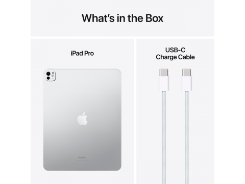 13-inch iPad Pro WiFi 256GB with Standard glass - Silver,Model A2925