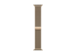 45mm Gold Milanese Loop