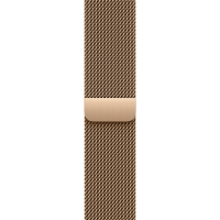 42mm Gold Milanese Loop
