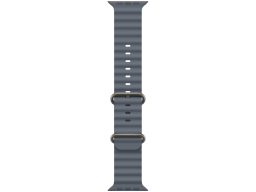 49mm Anchor Blue Ocean Band - Natural Titanium Finish