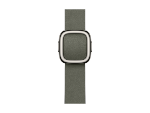 42mm Sage Gray Modern Buckle - Large