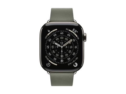 42mm Sage Gray Modern Buckle - Large