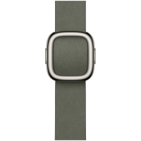42mm Sage Gray Modern Buckle - Small