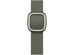 42mm Sage Gray Modern Buckle - Small