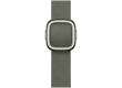 42mm Sage Gray Modern Buckle - Large
