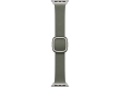 42mm Sage Gray Modern Buckle - Small