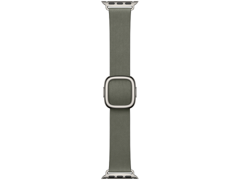 42mm Sage Gray Modern Buckle - Large