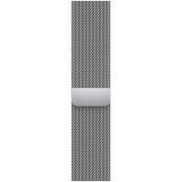 45mm Silver Milanese Loop