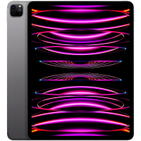 12.9-inch iPad Pro Wi‑Fi + Cellular 128GB - Space Grey, Model A2437