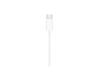 EarPods (USB-C),Model A3046