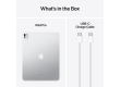 13-inch iPad Pro WiFi + Cellular 2TB with Standard glass - Silver,Model A2926