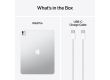 13-inch iPad Pro M5 Wi-Fi 2TB with standard glass - Silver, Model A3360