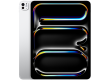 13-inch iPad Pro WiFi + Cellular 256GB with Standard glass - Silver,Model A2926