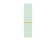 45mm Soft Mint Sport Loop