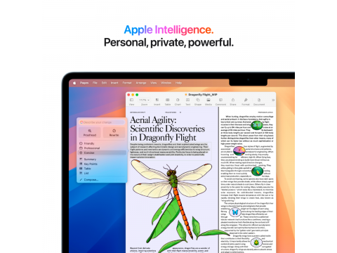 15-inch MacBook Air: Apple M4 chip with 10-core CPU and 10-core GPU, 16GB, 256GB SSD - Sky Blue,Model A3241