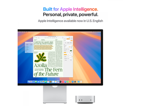 Mac mini: Apple M4 chip with 10‑core CPU and 10‑core GPU, 24GB, 512GB SSD,Model A3238