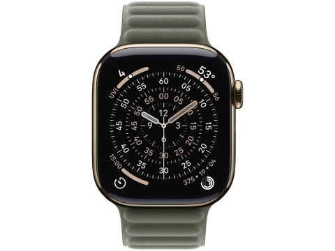 42mm Sage Gray Magnetic Link - M/L