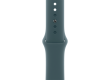 40mm Lake Green Sport Band - M/L
