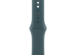 42mm Lake Green Sport Band - S/M