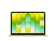 13-inch MacBook Neo: Apple A18 Pro chip with 6-core CPU and 5-core GPU, 8GB, 256GB SSD - Citrus,Model A3404