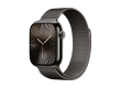 42mm Slate Milanese Loop