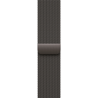 42mm Slate Milanese Loop